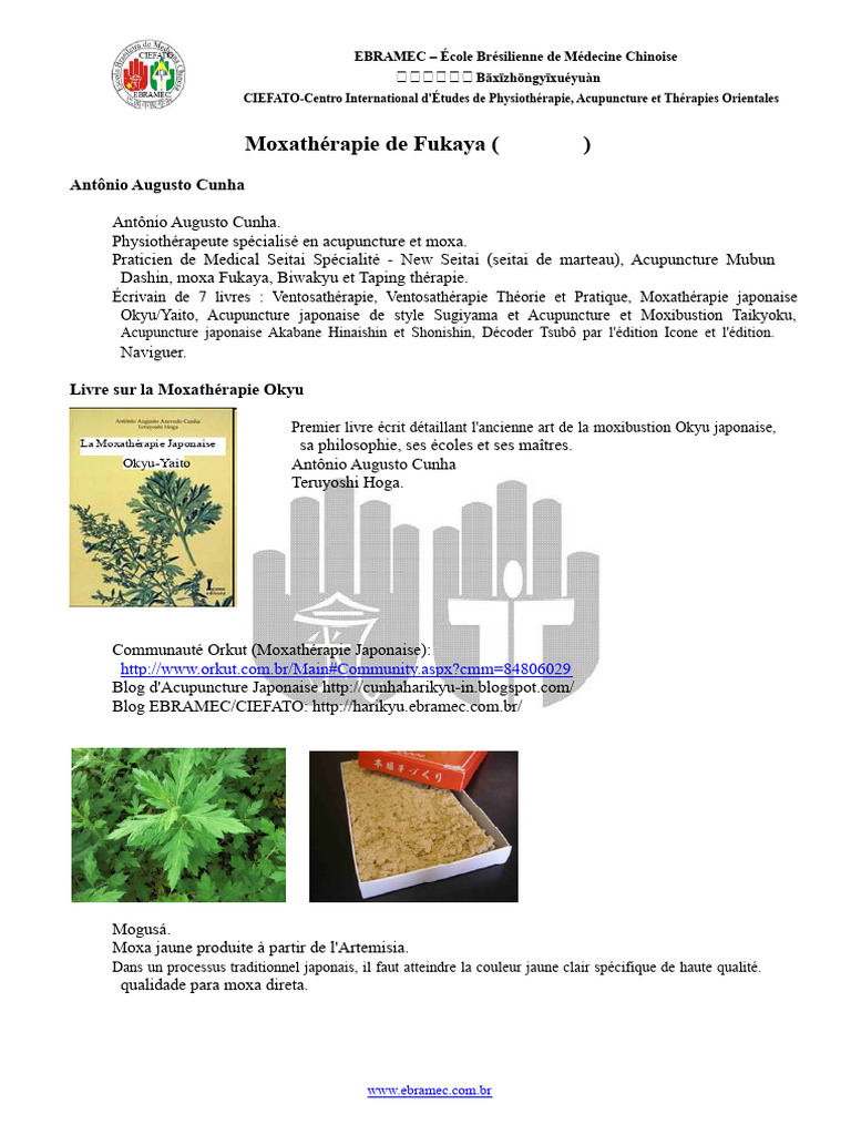 Moxathérapie Okyu : Techniques et Pratiques | PDF | Acupuncture | Douleur