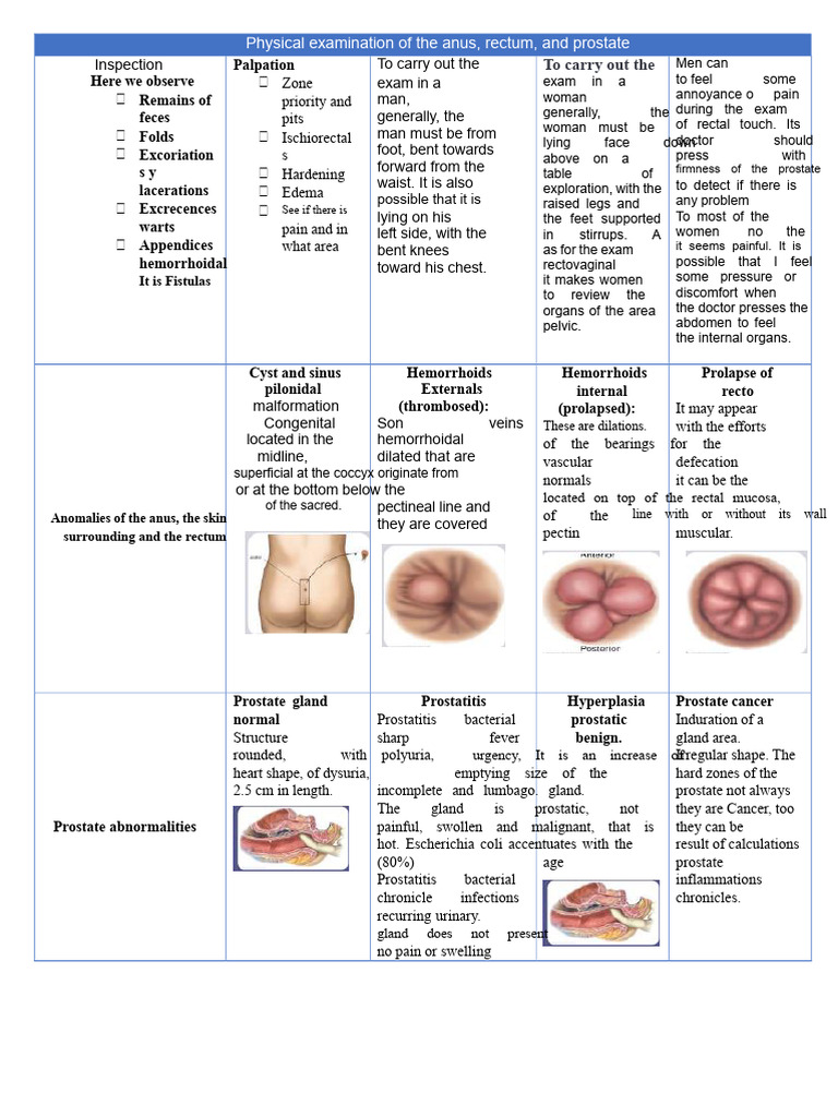 Anus, Rectum, and Prostate Exam Guide | PDF | Rectum | Hemorrhoid