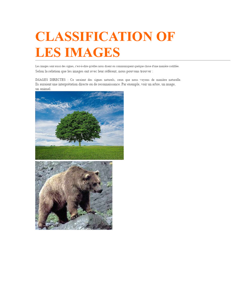 Classification des Images | PDF | Hallucination | Rêve