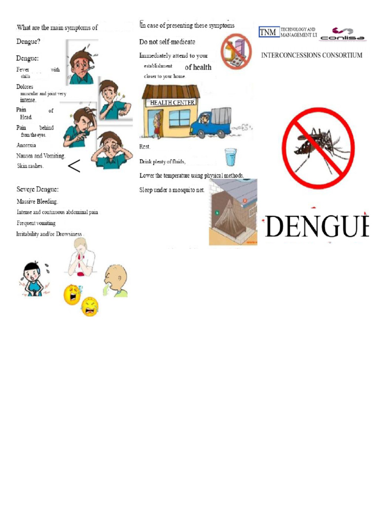Dengue Prevention and Mosquito Control | PDF | Mosquito | Microbiology
