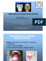Download Maxilo Facial by Irene Cristina SN9661969 doc pdf