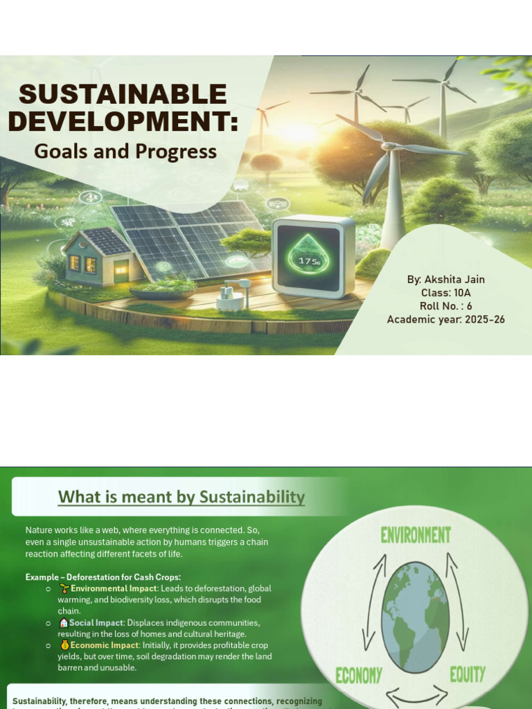 Geography Project - Sustainable Development | PDF | Sustainability ...