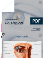 Via LAGRIMAL - Anatomia y Examen