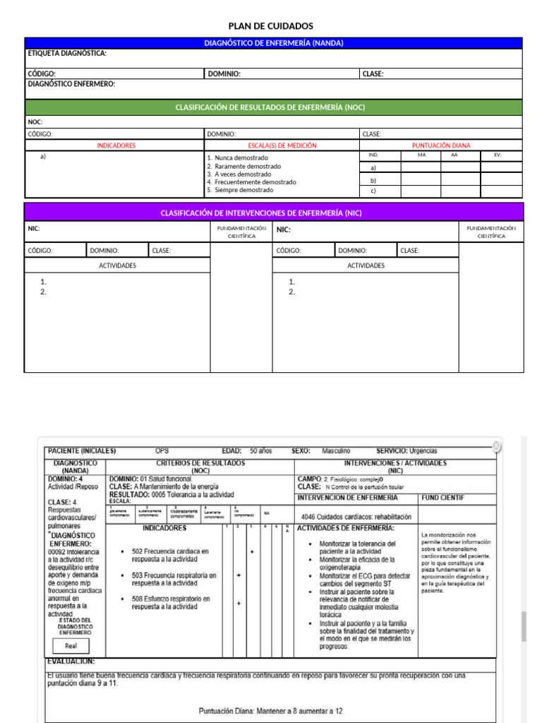 Plan de Cuidados ENF (1) | PDF