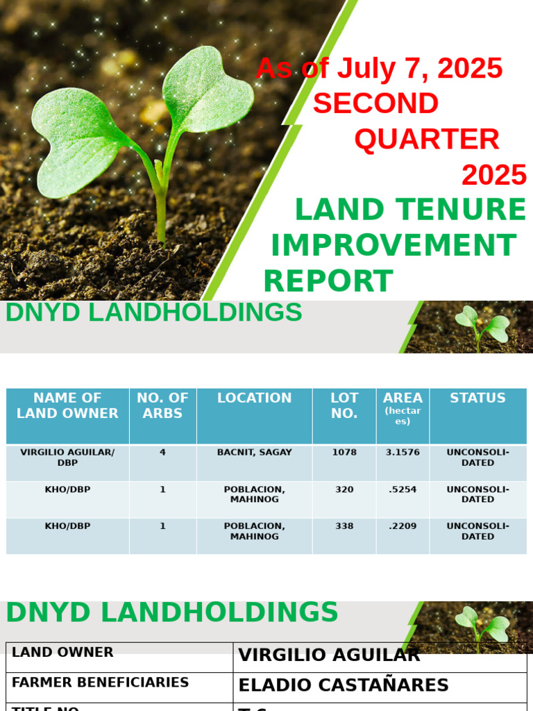 Lti 2nd Quarter Report 2025 July 7 2025 | PDF