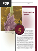 Integumentary System Combining Forms | PDF | Skin | Integumentary System