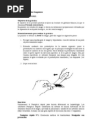 Practica 7