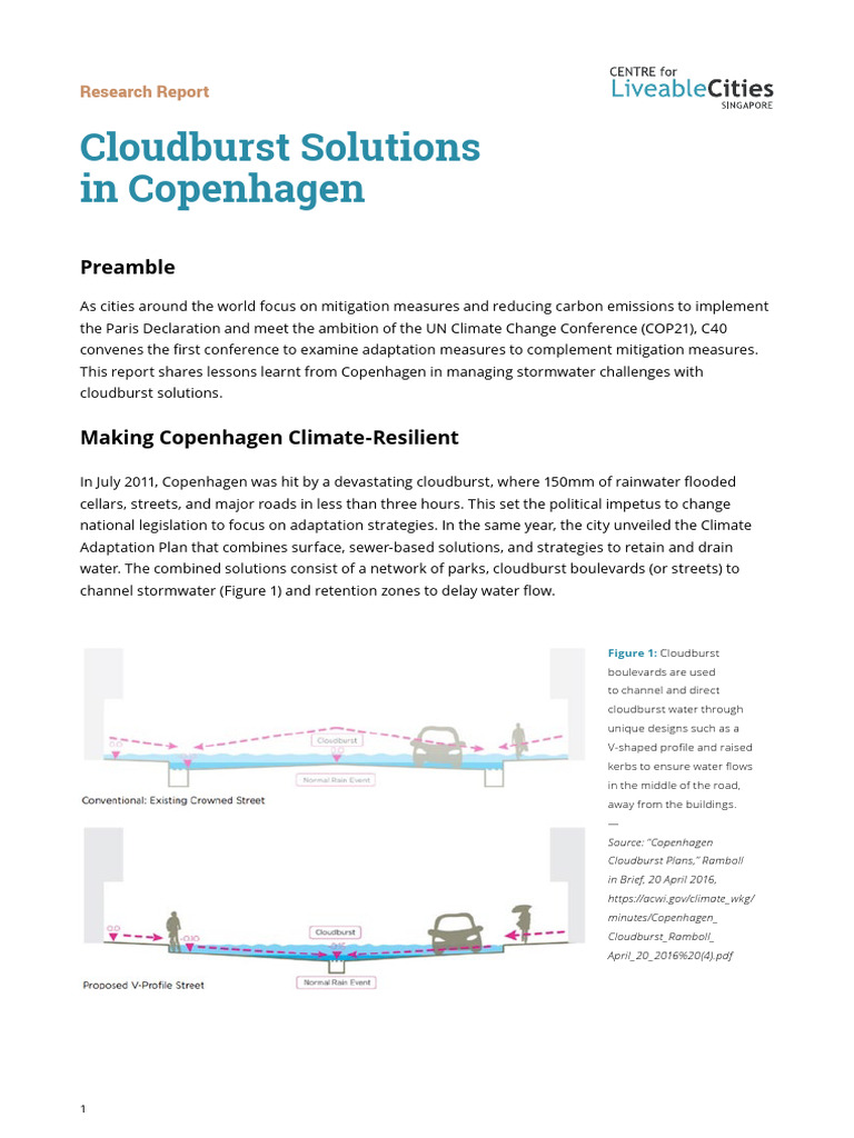 Cloudburst Solutions | PDF | Stormwater | Storm Drain
