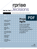 EntCIO Decisions Agile v5