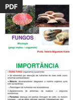 Aula 5 Fungos