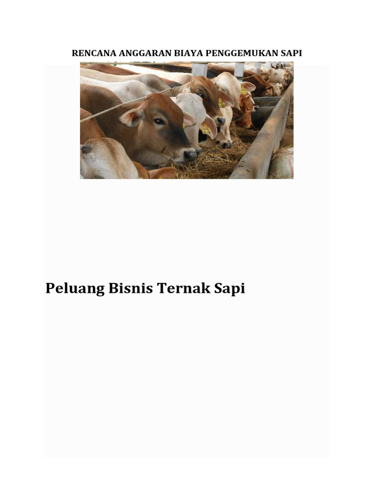 Rencana Anggaran Penggemukan Sapi | PDF