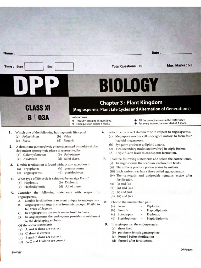 File 7 | PDF