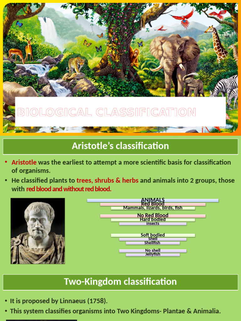 Biological Classification Overview | PDF | Fungus | Sexual Reproduction