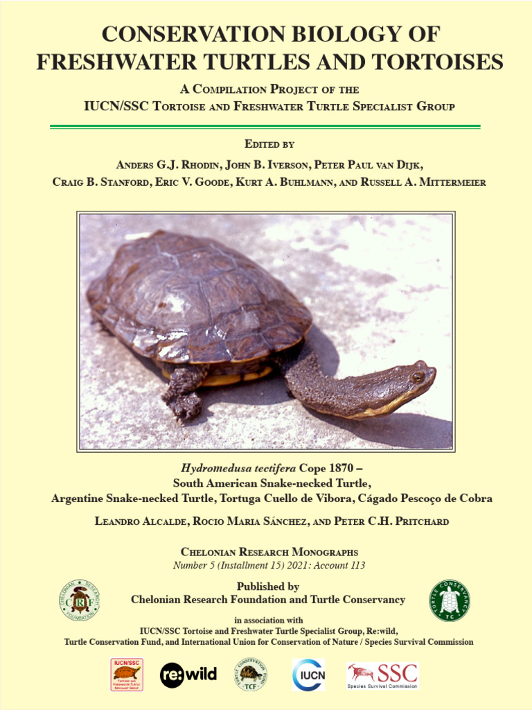 South American Snake-necked Turtle Overview | PDF