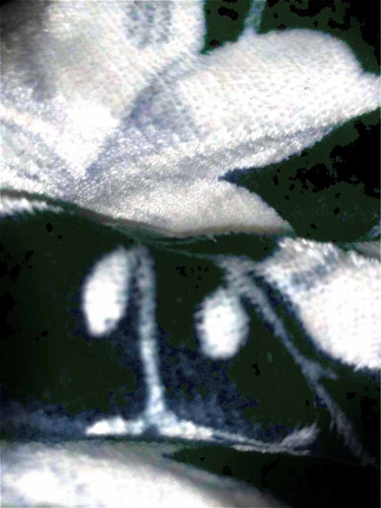 Scanned Document | PDF