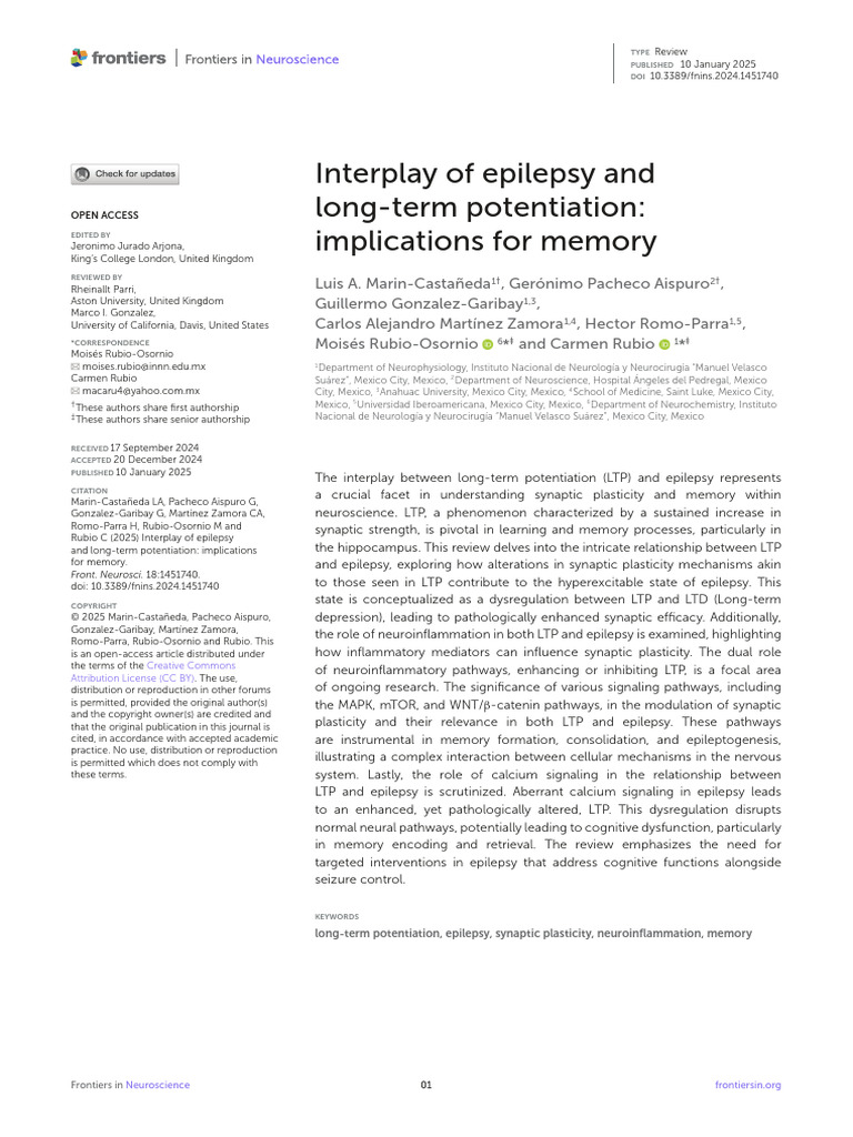 Epilepsy and Long-Term Potentiation Insights | PDF | Long Term ...
