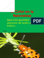 El Color en La Naturaleza