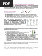 Qué son las integrinas y su función | PDF | Integrina | Adhesión celular