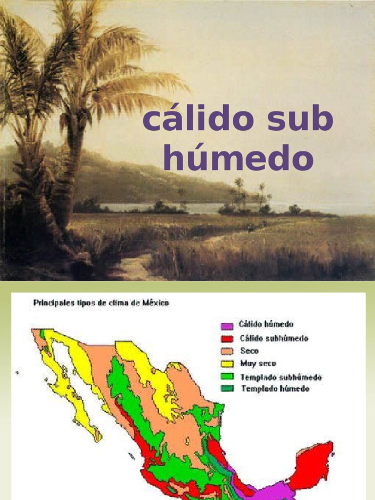 Clima Calido Sub Húmedo | PDF
