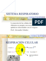 Sistema Respiratorio