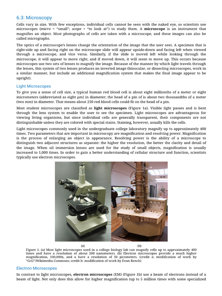 6.3_ Microscopy - Biology LibreTexts (1) | PDF | Microscope | Cervical ...