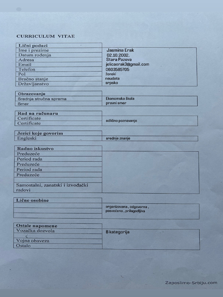 CV 2 | PDF