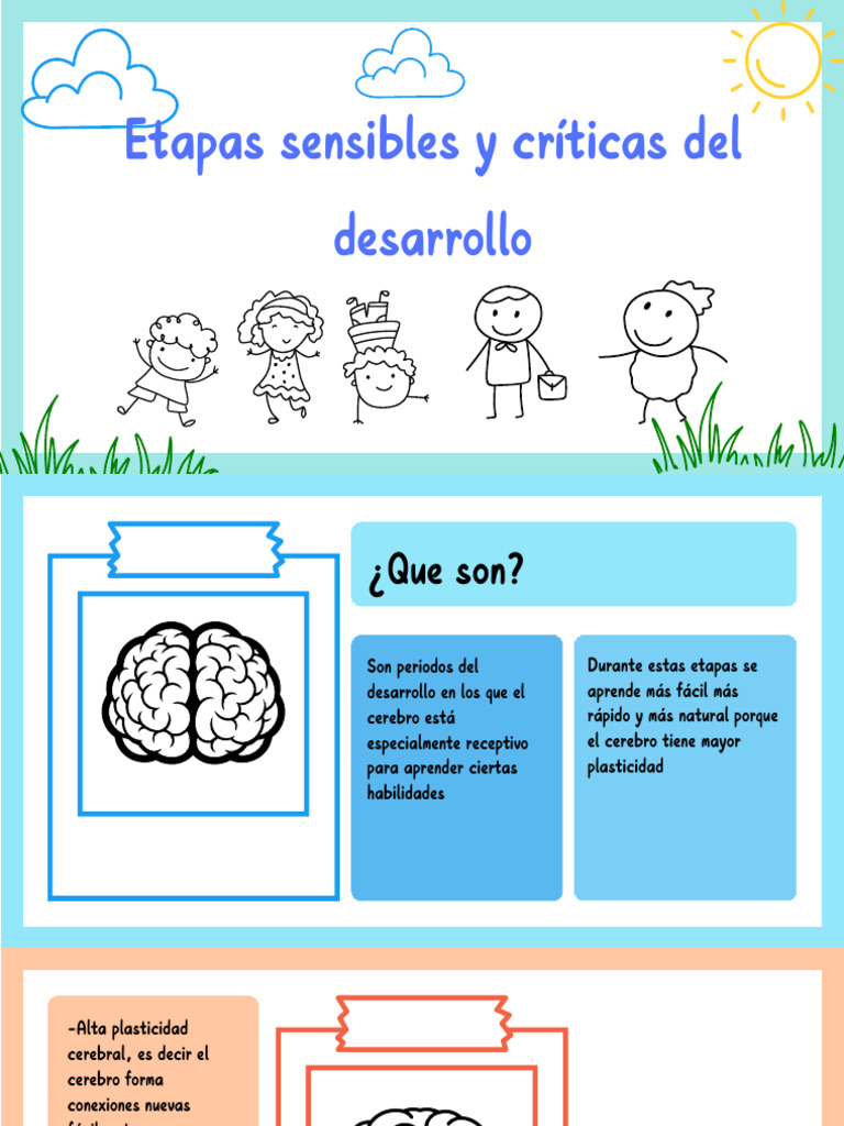 Etapas Críticas del Desarrollo Infantil | PDF | Las emociones | Cerebro