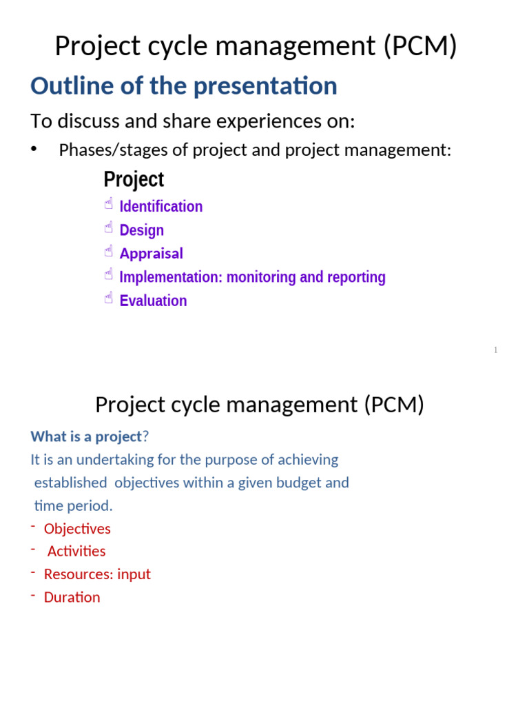 Project Cycle Management Overview | PDF | Evaluation | Project Management
