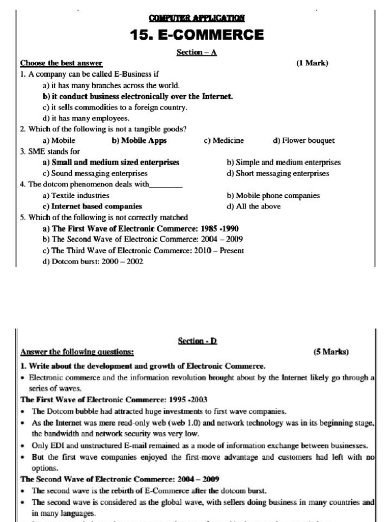 E Commerce | PDF