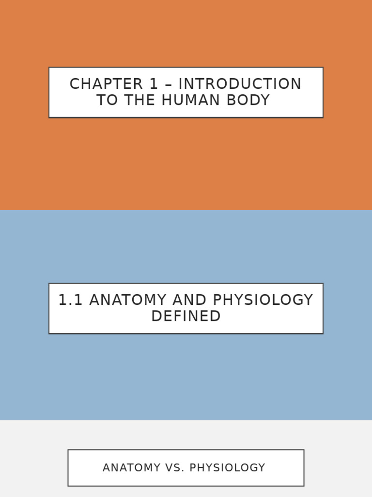 Introduction to Human Anatomy & Physiology | PDF | Human Body | Homeostasis