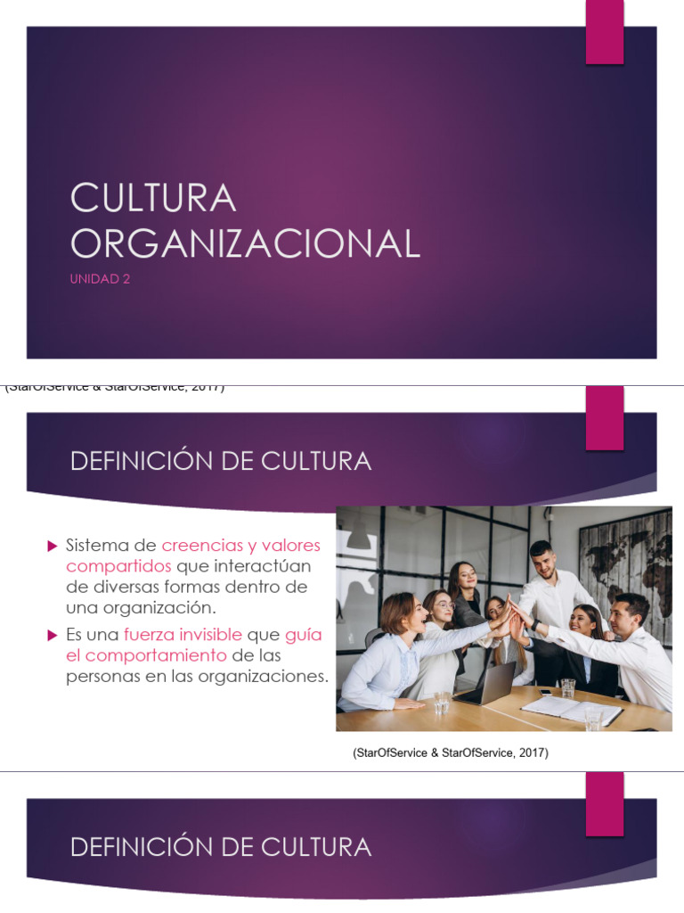 Importancia y Niveles de Cultura Organizacional | PDF | Cultura ...