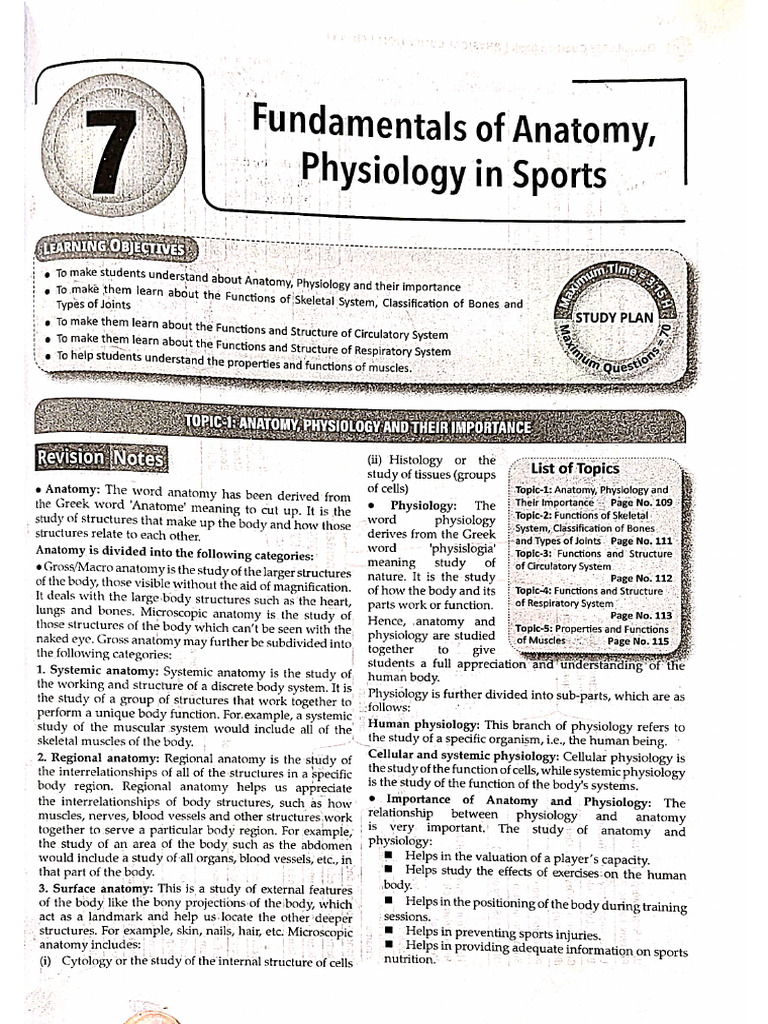 Phe 11 Fundamentals of Anatomy Physiology in Sports | PDF