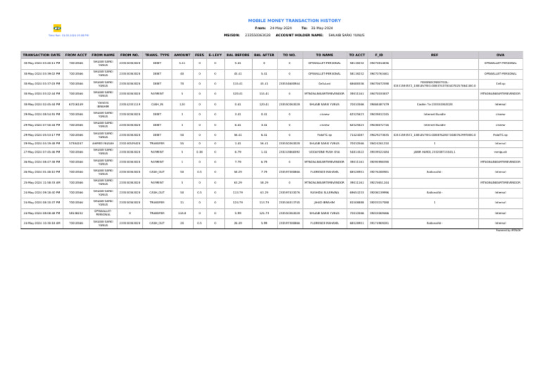 Momo Statement Report | PDF | Debit Card | Corporate Jargon