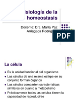 Fisiología de La Homeostasis-1