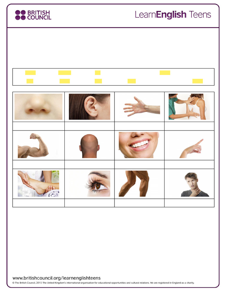 Body Parts - Exercises ENVIAR | PDF