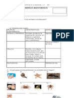 Examen Animales Invertebrados 4°básico