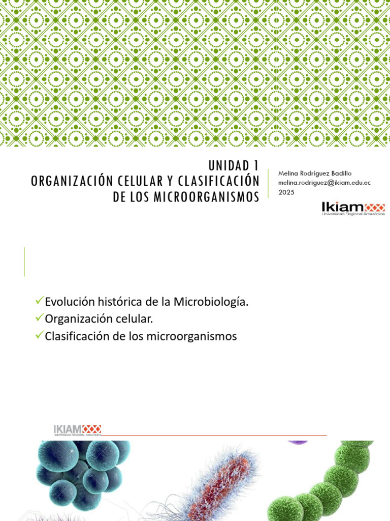 Organización y Clasificación de Microorganismos | PDF | Microorganismo ...