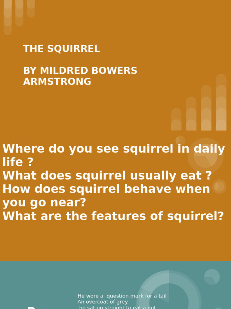 Understanding Squirrels: Behavior and Traits | PDF