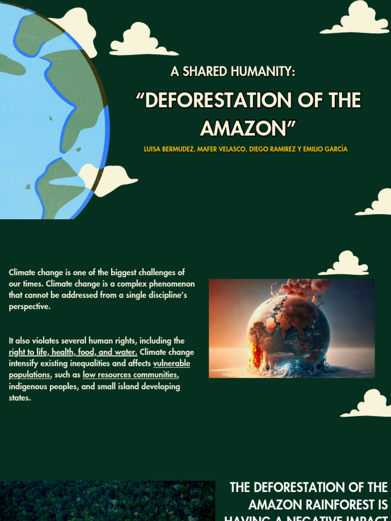 Impact of Amazon Deforestation | PDF