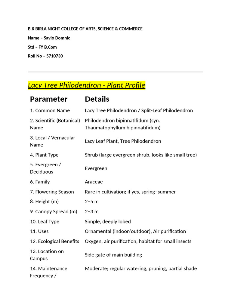 Final Lacy With Details (2) | PDF