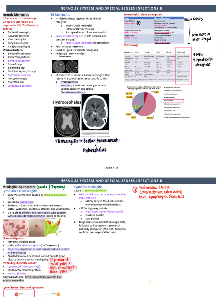 Meningitis Types: Causes and Symptoms | PDF | Meningitis | Lyme Disease