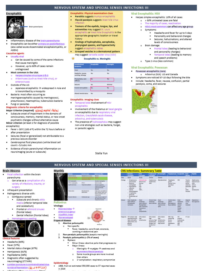 Encephalitis and CNS Infections Overview | PDF | Diseases And Disorders ...