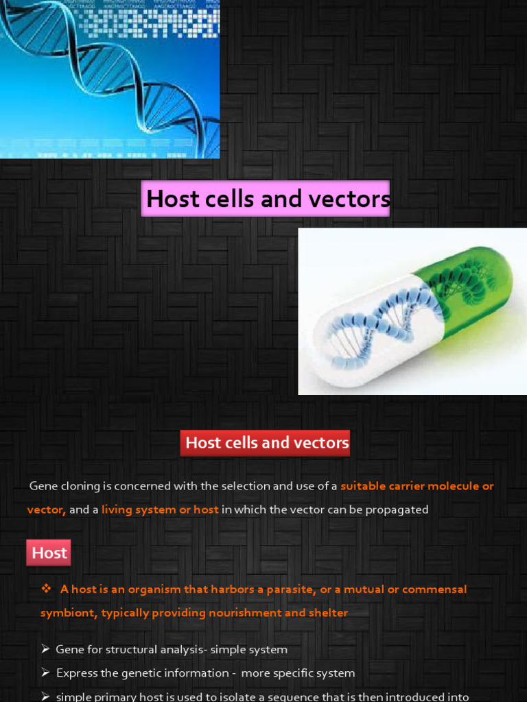 Host Cells and Vectors (1) | PDF | Vector (Molecular Biology) | Plasmid