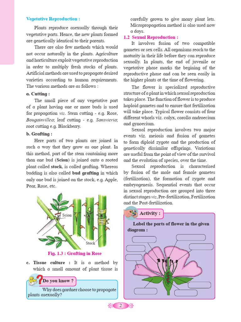 Plant Reproduction Methods Explained | PDF | Flowers | Botany