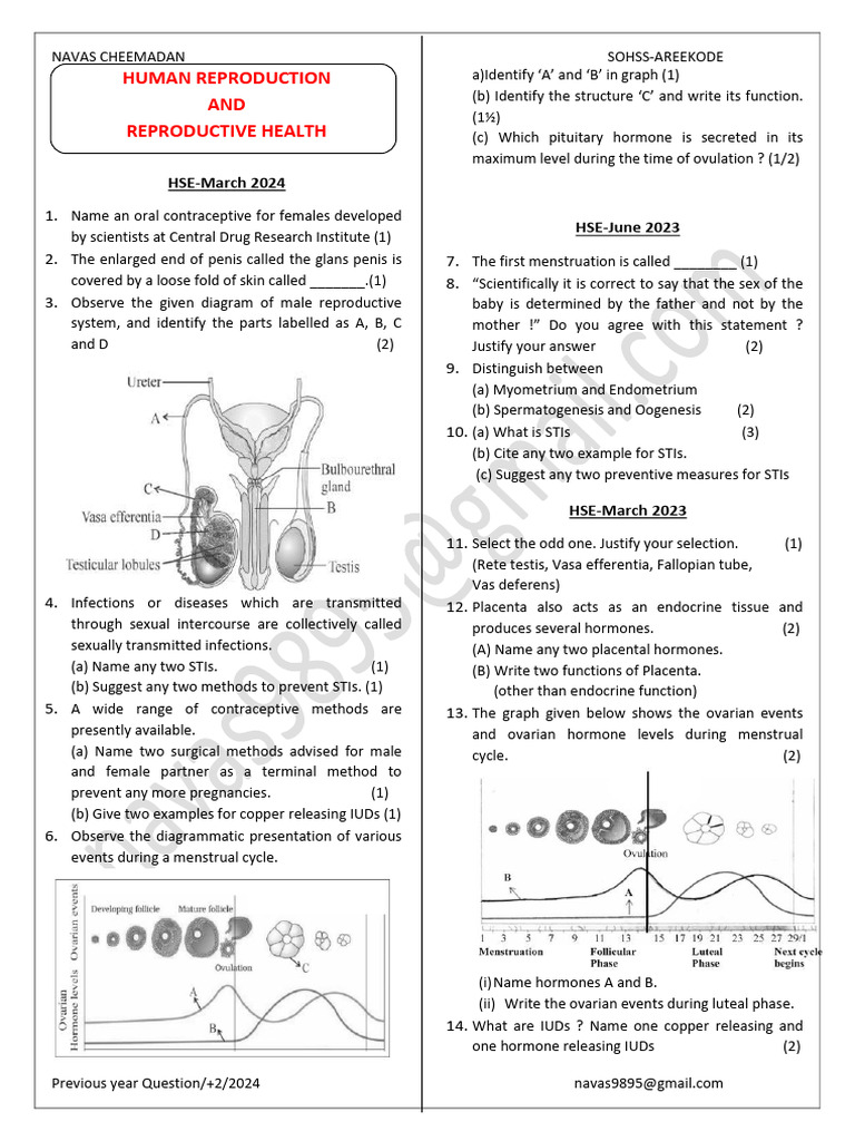 Human Reproduction Exam Questions 2024 | PDF | Menstrual Cycle ...
