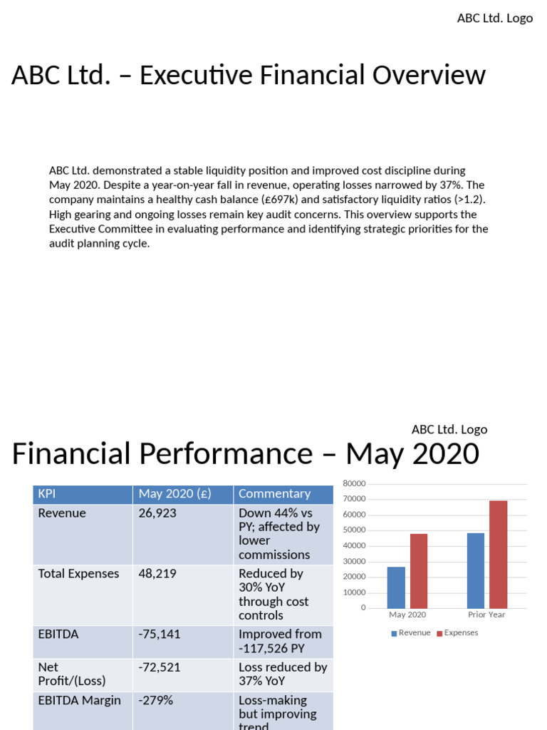 ABC LTD Financial Overview Audit Insights | PDF | Expense | Revenue