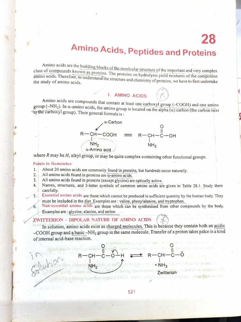 Aminoacids & Peptides Only Notes | PDF