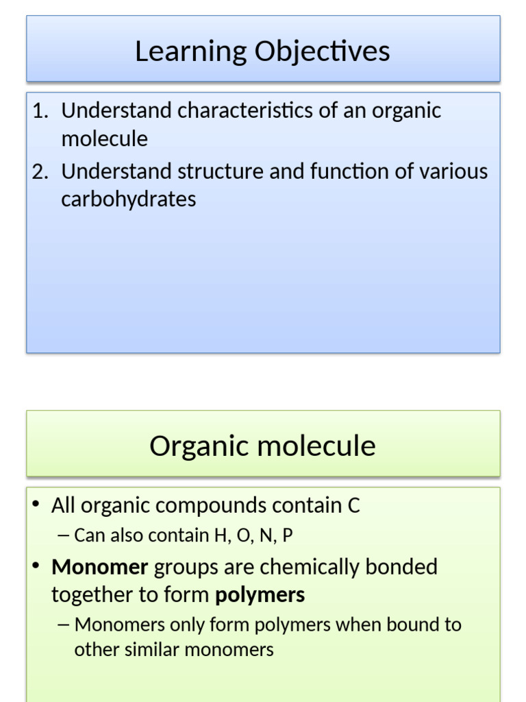 Understanding Organic Molecules & Carbohydrates | PDF