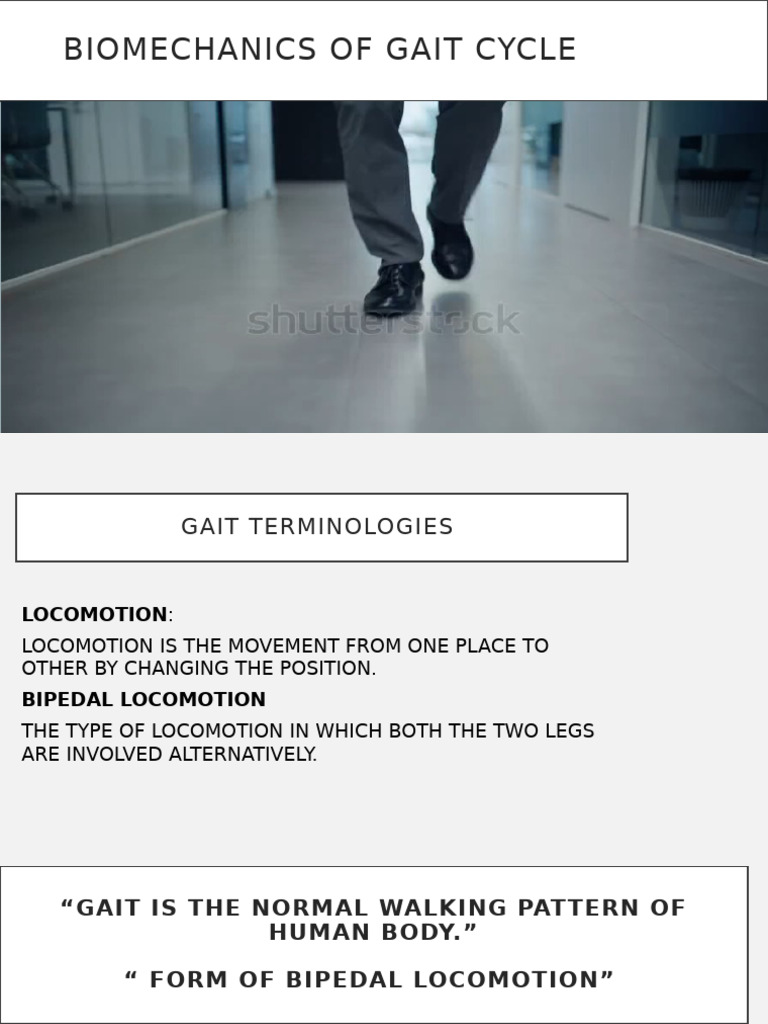 Bio Mechanic Gait Presentation-1 | PDF | Anatomical Terms Of Motion ...
