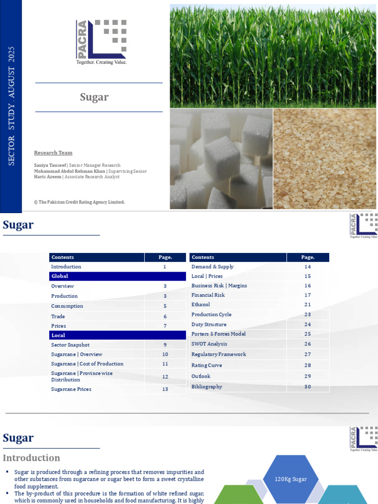 Global Sugar Market Analysis 2025 | PDF | Sugarcane | Agriculture